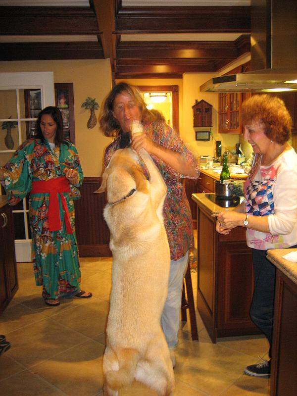 Picture 034